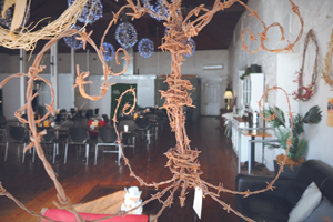 STA Barnes Store Emporium Int2